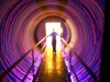 Famed illusions and surprises showcased at WonderWorks