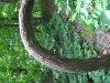 Zona Wildlife Sanctuary