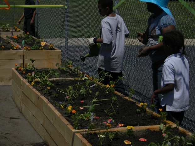 American Heart Association Teaching Gardens sprout in NWI this spring