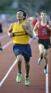 Thornton hurdler stars at Class 3A Homewood-Flossmoor Sectional