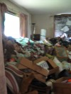 Cleanup of Hobart hoarder's house/farm begins 