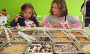 SMALL-BUSINESS SPOTLIGHT: Sweet Frog Frozen Yogurt, Schererville
