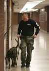 Police K-9s sweep Portage High 