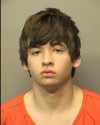 Valparaiso burglary suspect caught by police dog