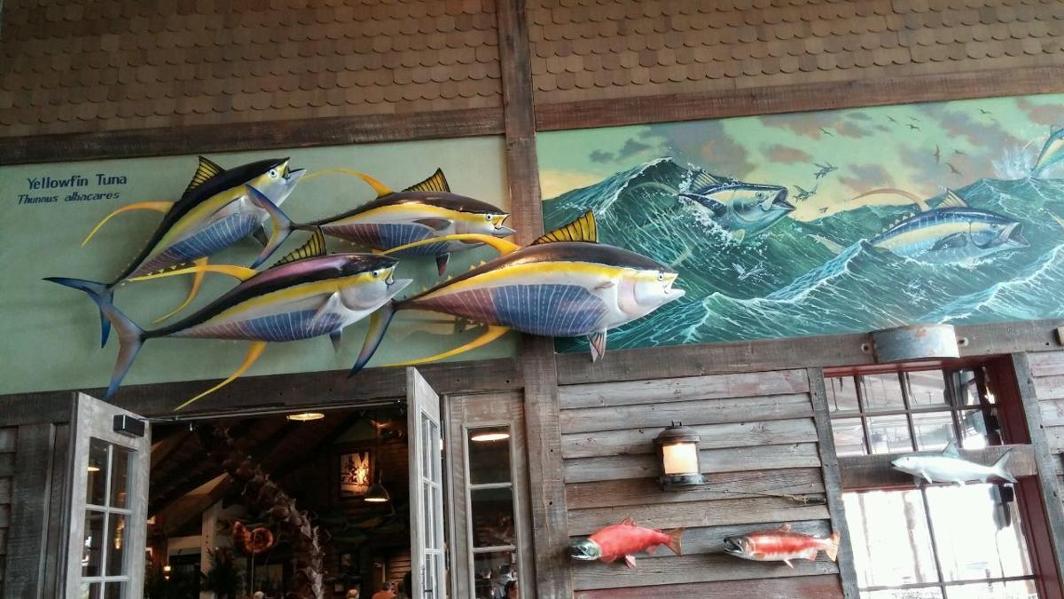 Islamorada fish company restaurant coupons