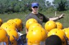 081111_FB_CRETE, Crete-Monee High School football and coach Jerry Verde