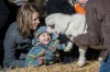 Holly Days celebrates the season
