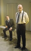 From South Holland to Shakespeare