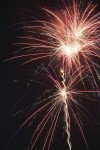 Red, white, blue and green: July Fourth party tips 