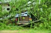 Winds whip trees as brief storm batters region