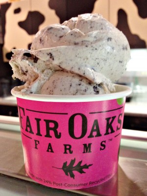 Ice cream passions lead to sweet destinations