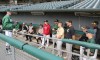 RailCats open tryouts