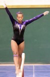 GYM_VAL_REG, Merrillville's Taylor Woods
