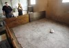 4 arrested, 20 dogs seized in dogfighting raid