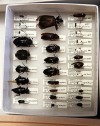 Scientists, students converge on Newton County for bioblitz