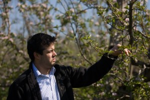 Apple trees blossom early, spurring some concerns among region orchards