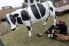 Chick-fil-A Ad