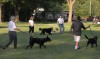 Panel raising funds for dog park