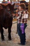 Showtime at the fair