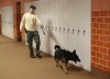 Police K-9s sweep Portage High 