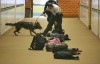 Police canines make sweep through Portage High School