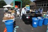 Painting a greener Earth