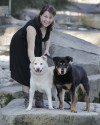 Pet arthritis: No cure but meds, therapy can help