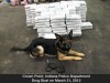 C.P. police dog, handler win national recognition