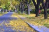 Where you live can help determine your health, studies say
