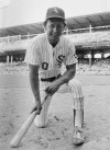 Hall of Fame Santo Baseball