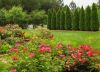 Rose garden Taltree