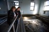 Sewer has environment in mind  