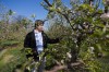 Apple trees blossom early, spurring some concerns among region orchards