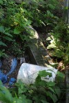 Oak Hill headstones, management missing in action
