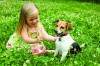 Is Your Pet Ready for Outdoor Weather?