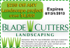$250 Landscaping Service Coupon