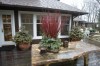 House & Grounds 