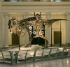 SUE the T-rex