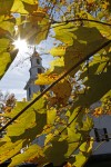 Scientists seek to document later fall colors  