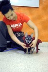 What cures your cold can also kill your pet