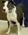 Fiona