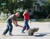 Volunteers help PCACS during Day of Caring