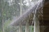Who’ll Stop The Rain? Gutters and Downspouts