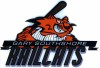 RAILCATS LOGO 2