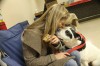 Porter County Animal Shelter adoption event a rousing success