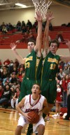 Hebron's Kyle Joyce, Morgan Twp.'s Will Weideman and Brandon Murphy