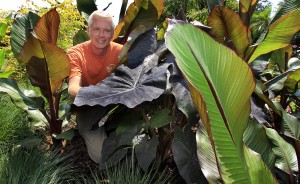 March garden tips from Wayne Gruber and Sharon Fister of Gardens on the Prairie