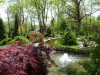 Creative conifers and more in Crete