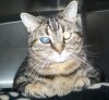 Pet of the week: Twiggy