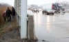 Horse loose on Interstate 94